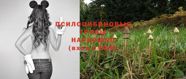 герыч Арсеньев