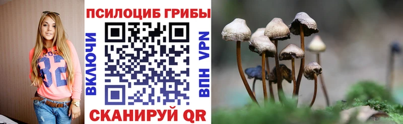 где купить наркоту  Ивдель  KRAKEN сайт  Галлюциногенные грибы ЛСД 